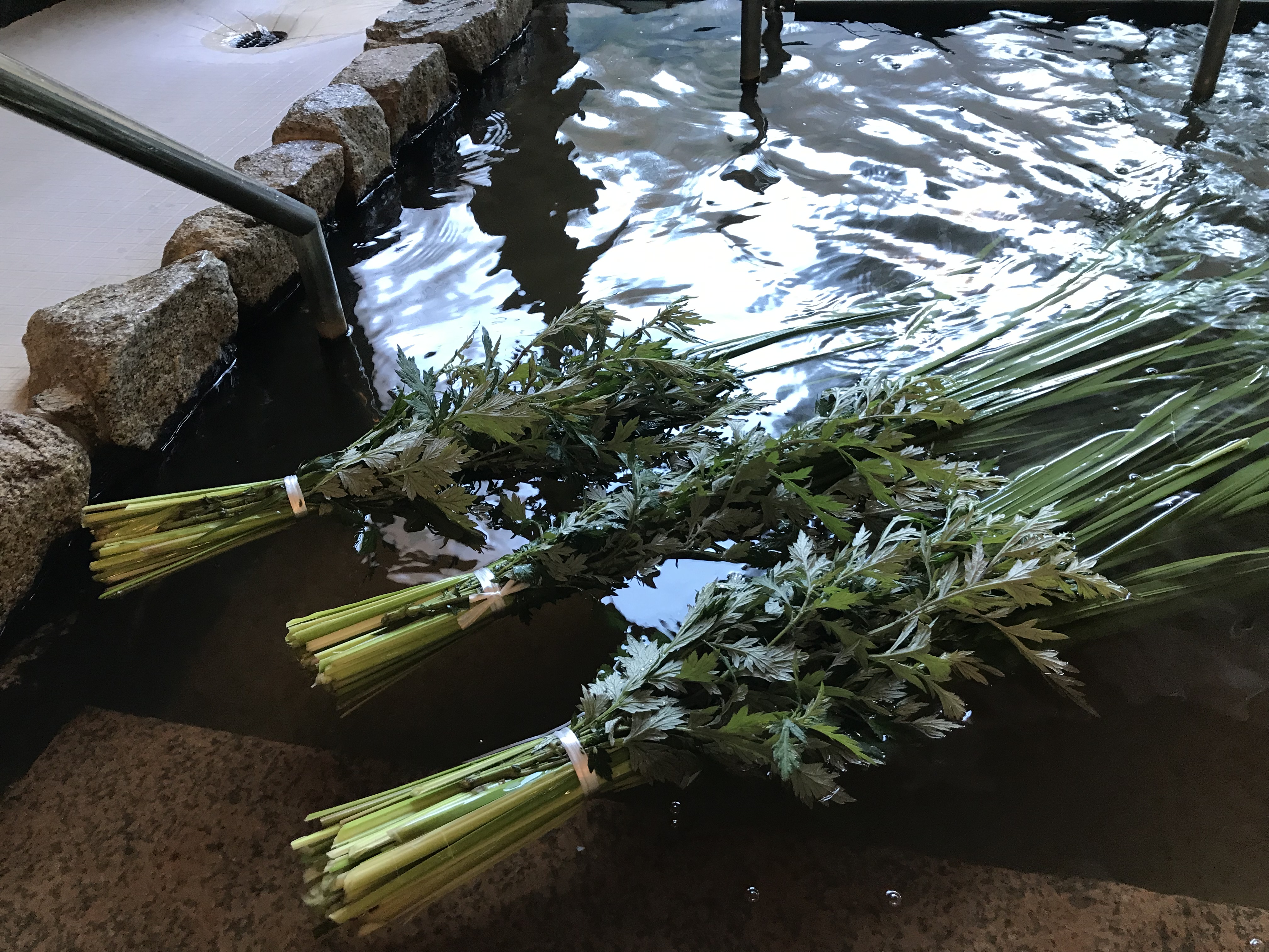 菖蒲湯で邪気払い | ゆうゆう壱番館よなご